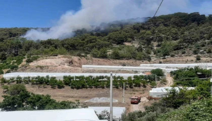 Antalyada orman yangını