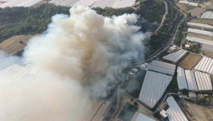 Antalyada orman yangını