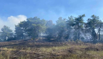 Antalyada ormanlık alanda çıkan yangın 2 saatte kontrol altına alındı