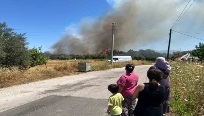 Antalyada ormanlık alanda yangın