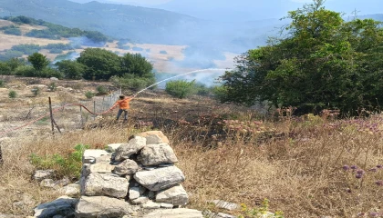 Antalyada ormanlık alanı tehdit eden yangına müdahale ediliyor