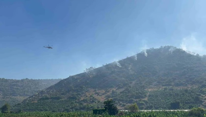 Antalyadaki orman yangını 3 saatte kontrol altına alındı