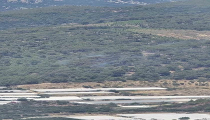 Antalyadaki orman yangını kontrol altına alındı