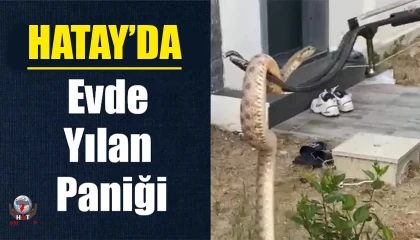 Arsuzda evin balkonunda yılan paniği