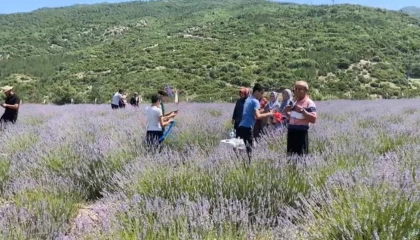 Bakımı yapılan lavanta bahçesi kadın elinde yeniden hayat buldu