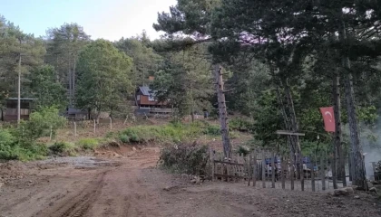 Bayram tatilinde sıcaktan kaçan vatandaşlar, Zorkun Yaylasında serinledi