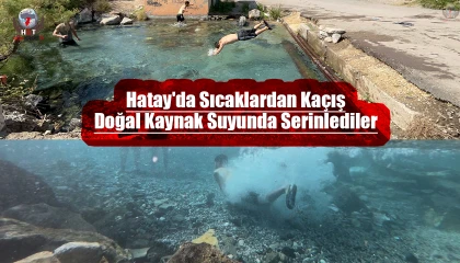 Bayram tatilini fırsat bilen vatandaşlar, doğal kaynak suyunda yüzerek serinledi