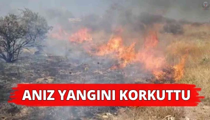 Belende anız yangını çıktı