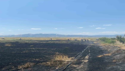 Burdurda çıkan yangında 3 dönüm ekili alan zarar gördü