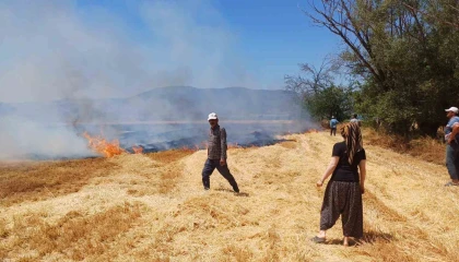Burdurda çıkan yangında 8 dönüm arazi zarar gördü