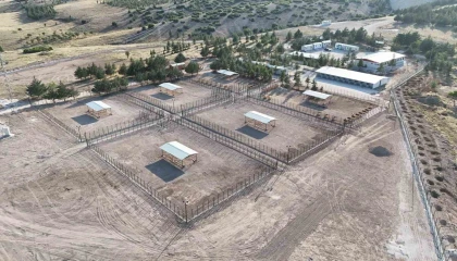 Burdurda sahipsiz hayvanlar için modern rehabilitasyon ve doğal yaşam tesisi açıldı