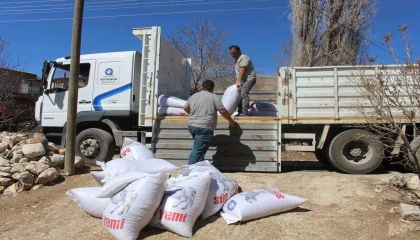 Büyükşehirden yem desteğiyle süt üretimine güçlü katkı