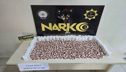 Ceyhanda organize suç örgütü çökertildi