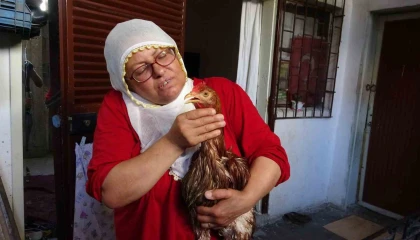 Çocuk gibi ağlayan tavuğunu kesmeye kıyamadı, iyileşmesi için veteriner aramaya başladı