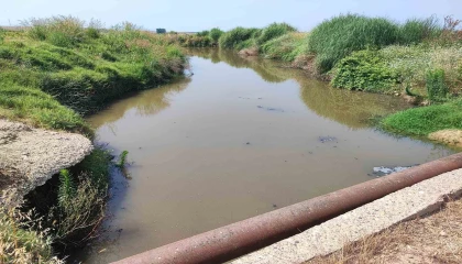Dere yatağına kanalizasyon akıyor