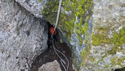 Düştüğü mağarada 3 gün mahsur kalan keçiyi kurtarma ekipleri çıkardı