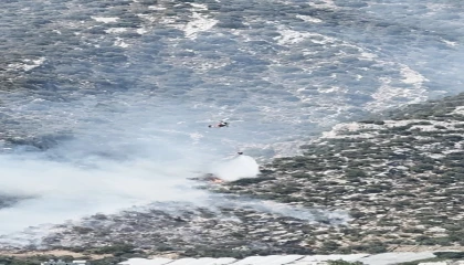 Finikede orman yangını