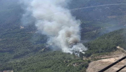 Finikede orman yangını