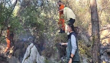 Finikedeki orman yangını kontrol altına alındı