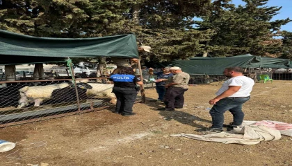 Gazipaşada polis ekipleri sahte para ve dolandırıcılığa karşı vatandaşları uyardı