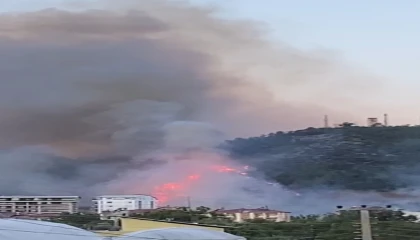 Gazipaşadaki orman yangınında gözetleme kulesindeki personelin zor anları kamerada