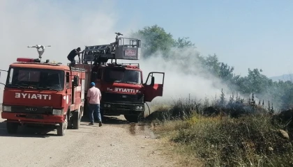 Gelendostta göl kenarında çıkan yangında 200 dönüm alan zarar gördü
