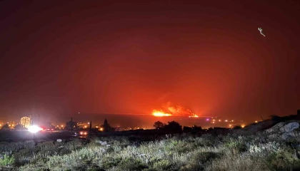 Göksu Deltasında sazlık alanda yangın