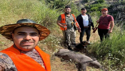 Gündoğmuşta domuz sürek avı düzenlendi