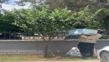 Güvenlik görevlisi oğul veren arıları kovana aldı