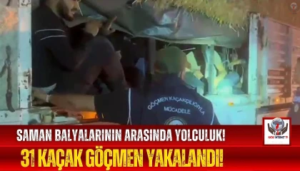 Hatay'da 31 Kaçak Göçmen Yakalandı