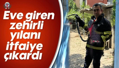Hatay'da Eve Giren Yılan Yakalandı