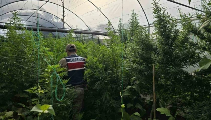 Hatayda jandarma ekipleri 83 şahsın evinde ve iş yerinde arama yaptı