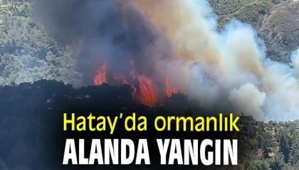 Hatayda orman yangını
