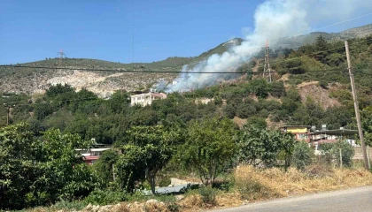 Hatayda ormanlık alanda çıkan yangın söndürüldü