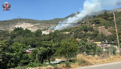 Hatay'da ormanlık alanda çıkan yangın söndürüldü