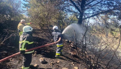 Hataydaki orman yangını söndürüldü