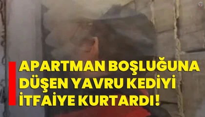 Havalandırma boşluğuna düşen kediyi itfaiye kurtardı