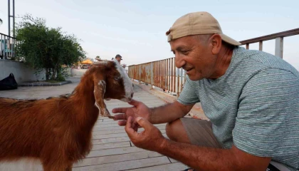 Hemcinsleri bıçak altına yatarken o deniz keyfi yaptı