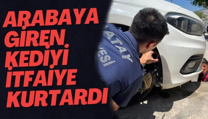 İskenderunda aracın kaputuna giren kediyi itfaiye kurtardı