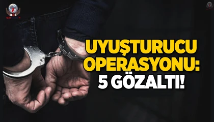 İskenderunda asayiş operasyonu; 5 gözaltı