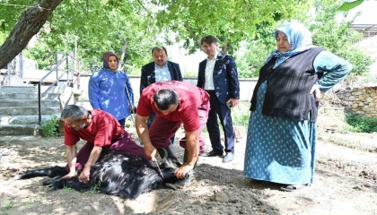 Isparta Belediyesi evlere giderek tek tek kurbanları kesti