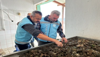 Ispartada su ürünleri av yasağı bugün itibarıyla sona erdi