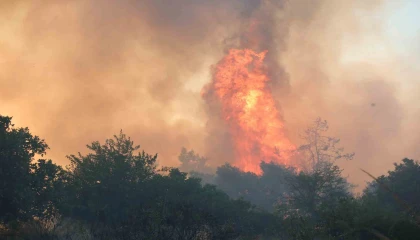 İzmirdeki orman yangını haberlerini izlerken alevleri kapısında buldu