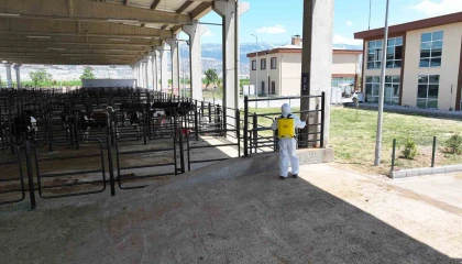 Kahramanmaraş Hayvan Borsası hazır