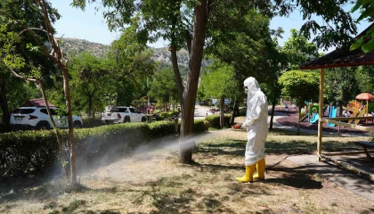 Kahramanmaraş kene tehdidine karşı ekipler sahada