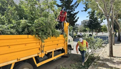 Kahramanmaraşta fırtınanın oluşturduğu hasar ortadan kaldırılıyor