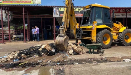 Kahramanmaraşta hayvansal atıklar temizlendi