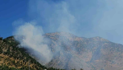 Kahramanmaraşta orman yangını