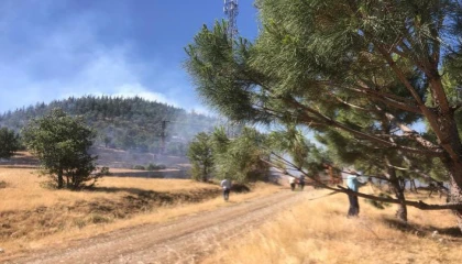 Kahramanmaraşta orman yangını