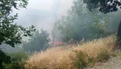 Kahramanmaraşta orman yangını büyümeden söndürüldü